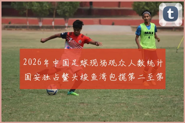 2026年中国足球现场观众人数统计国安独占鳌头梭鱼湾包揽第二至第七位