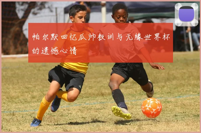 帕尔默回忆瓜帅教训与无缘世界杯的遗憾心情