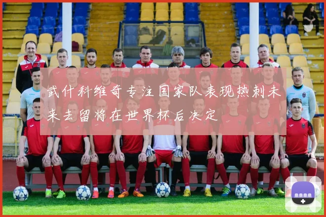 武什科维奇专注国家队表现热刺未来去留将在世界杯后决定